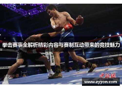 拳击赛事全解析精彩内容与赛制互动带来的竞技魅力