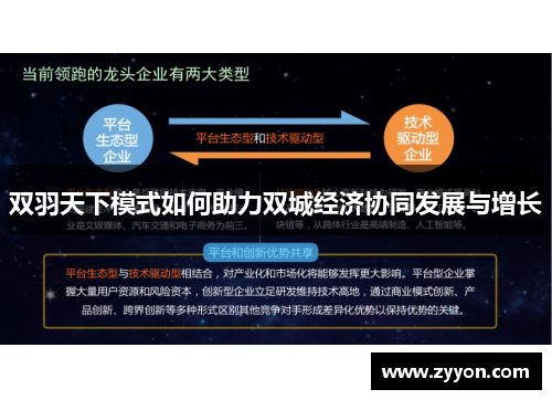 双羽天下模式如何助力双城经济协同发展与增长