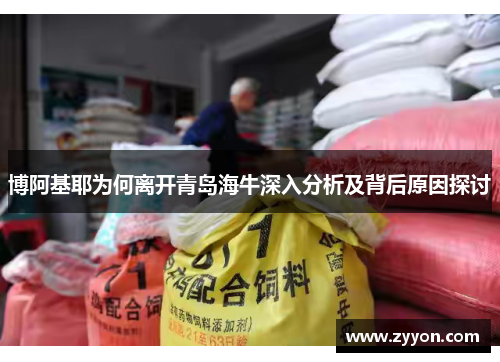 博阿基耶为何离开青岛海牛深入分析及背后原因探讨