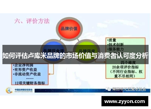 如何评估卢库米品牌的市场价值与消费者认可度分析